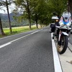 メタセコイヤ並木