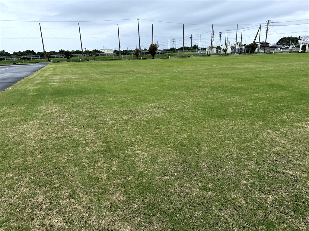 浜名湖カナルオートキャンプ場
