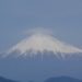 富士山　キャンプ場